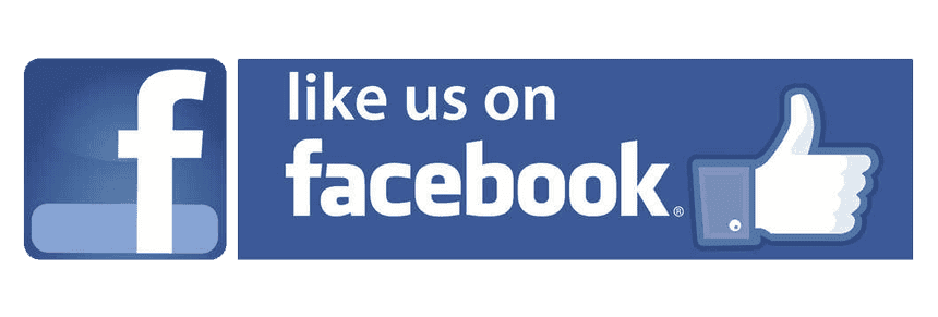facebook page button