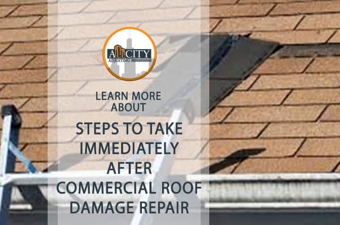 Commercial Roof Damage Repair